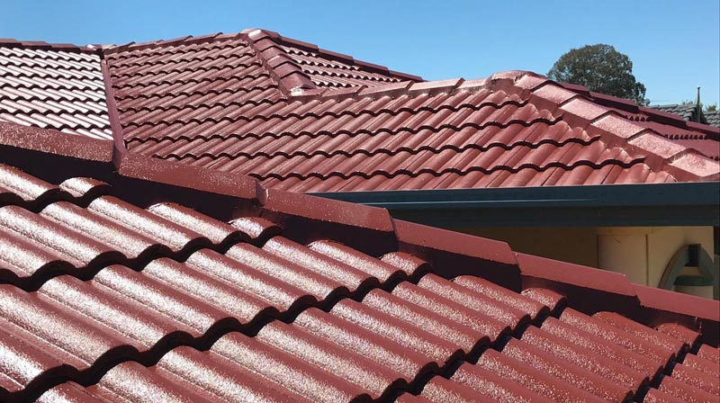 Roof Painting